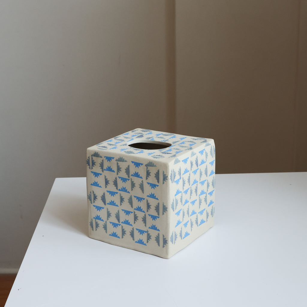 Geo grid tissue box