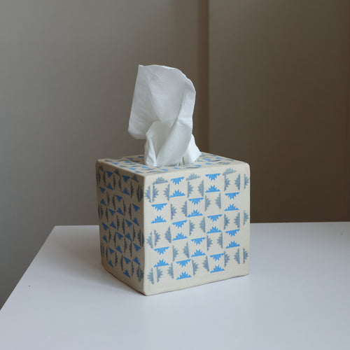 Geo grid tissue box