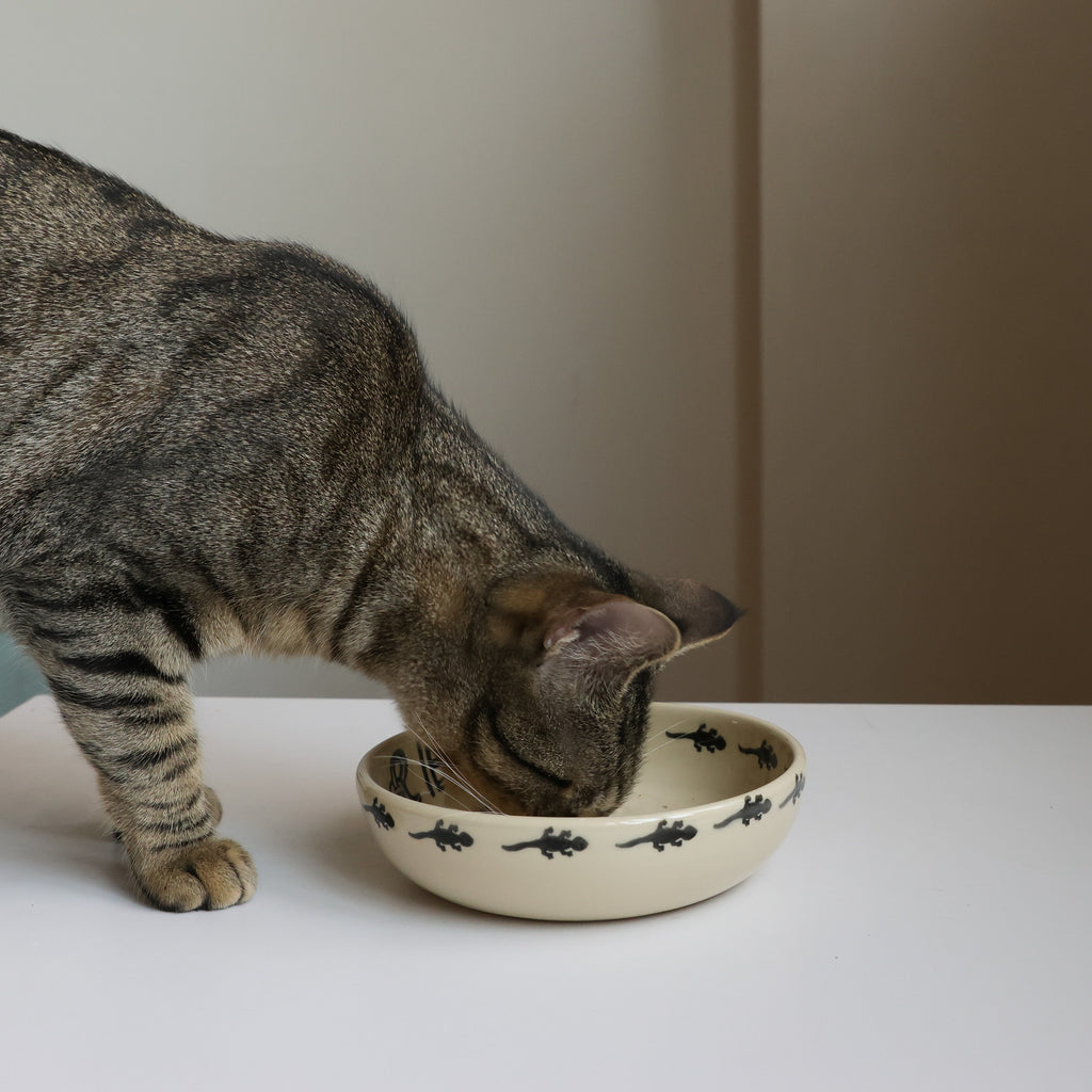 Customized cat bowl