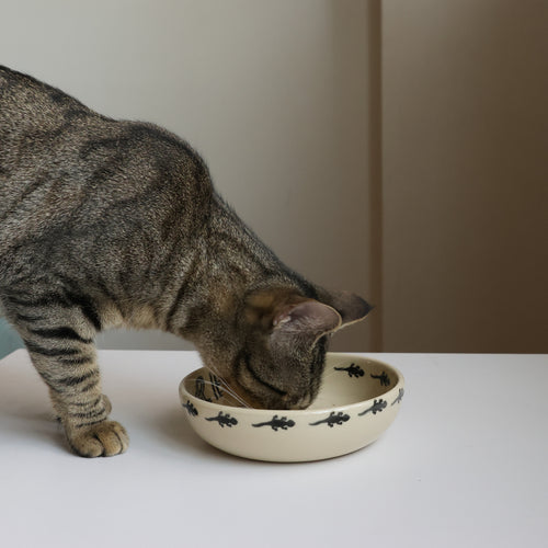 Customized cat bowl