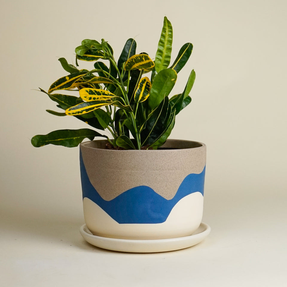 levi plant pot Beach planter – Helen Levi Ceramics